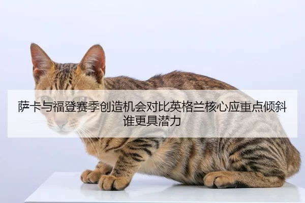 萨卡与福登赛季创造机会对比英格兰核心应重点倾斜谁更具潜力