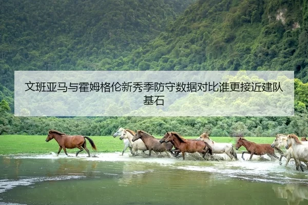 文班亚马与霍姆格伦新秀季防守数据对比谁更接近建队基石