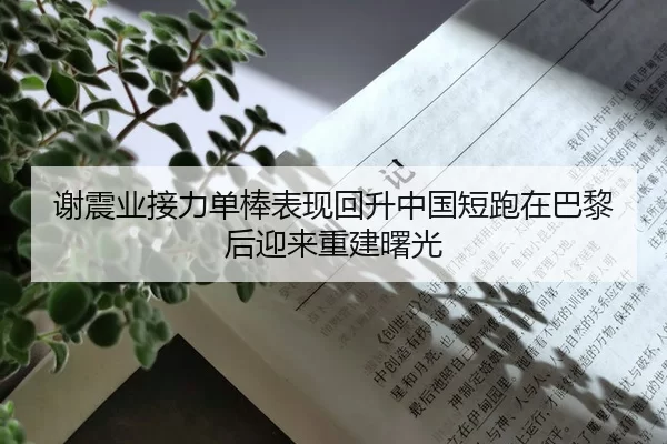 谢震业接力单棒表现回升中国短跑在巴黎后迎来重建曙光