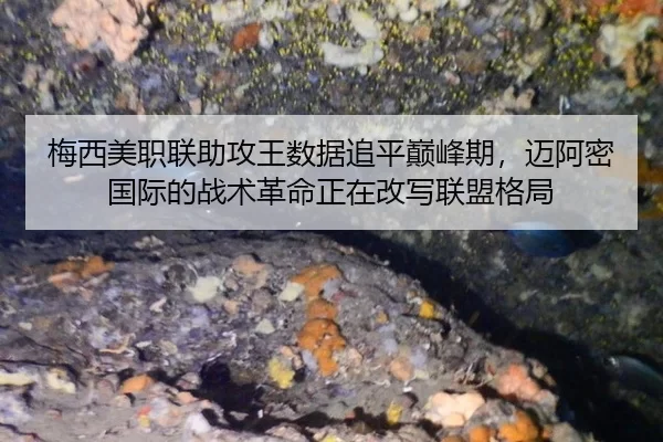 梅西美职联助攻王数据追平巅峰期，迈阿密国际的战术革命正在改写联盟格局