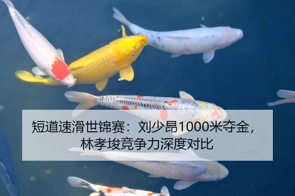 短道速滑世锦赛：刘少昂1000米夺金，林孝埈竞争力深度对比