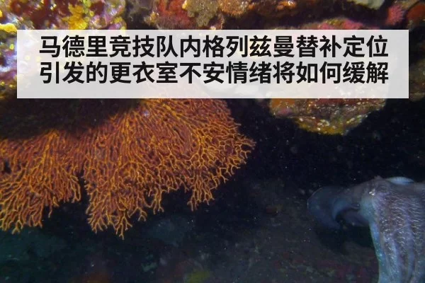 马德里竞技队内格列兹曼替补定位引发的更衣室不安情绪将如何缓解