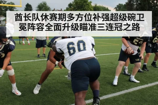 酋长队休赛期多方位补强超级碗卫冕阵容全面升级瞄准三连冠之路